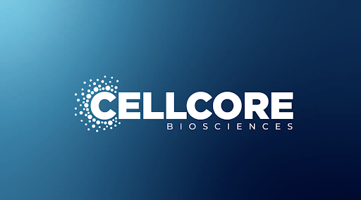How Practitioners Use Cellcore Biosciences in Holistic Care How Practitioners Use Cellcore Biosciences in Holistic Care