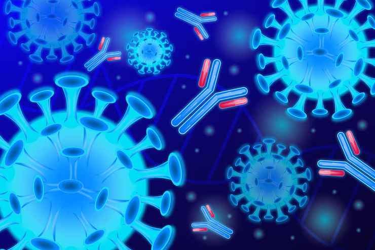 How Is Anti-Rat Calretinin Polyclonal Antibody Used?
