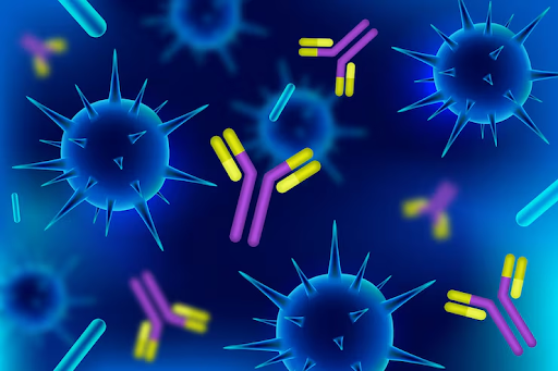 What Are Custom Phospho-Specific Antibodies in Research?